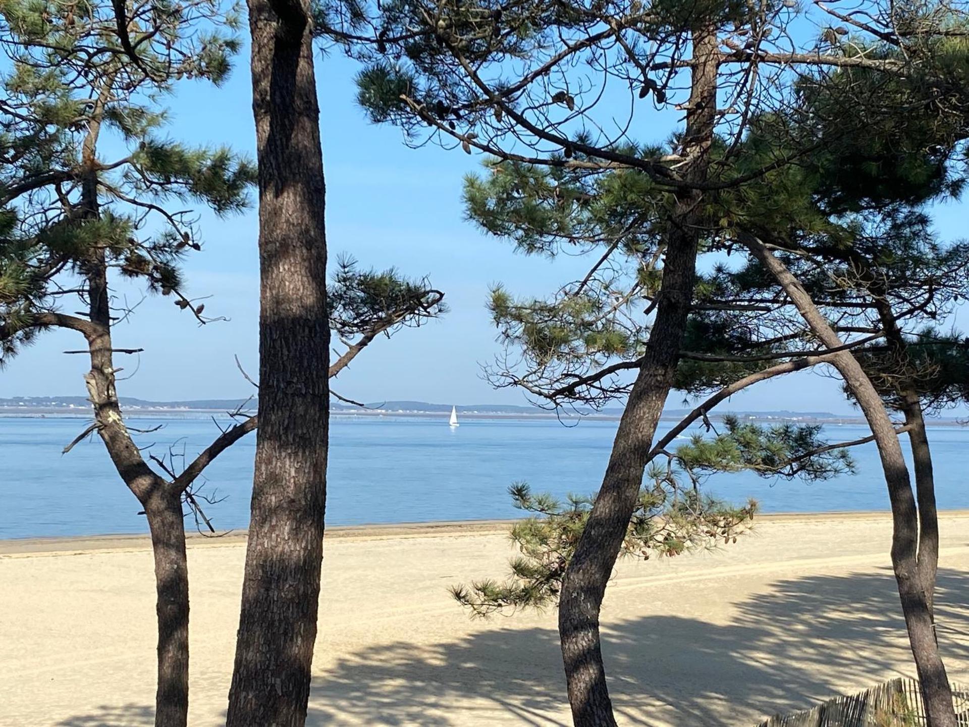 Hotel Particulier - Les Lodges Du Bassin D'Arcachon- Petit-Dejeuner Sur Demande- Prestations Haut De Gamme Gujan-Mestras Exterior foto